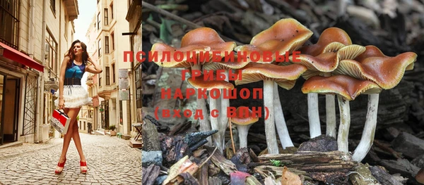 мдпв Наволоки