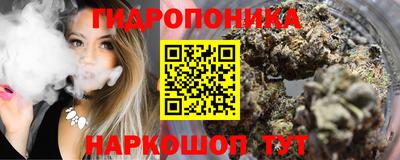 прущие грибы Жуковский