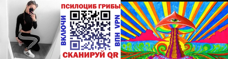 продажа наркотиков  Сочи  Псилоцибиновые грибы ЛСД 